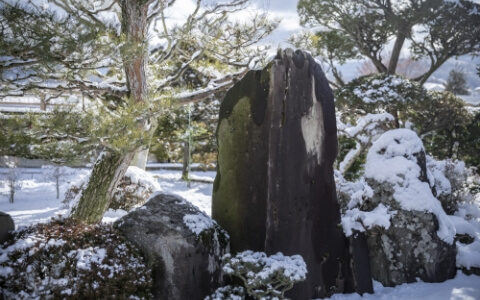 雪と日本庭園