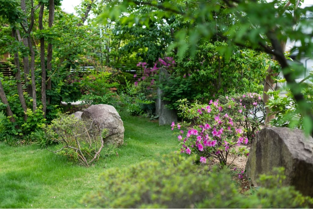 雑木の庭に鎮座する自然石