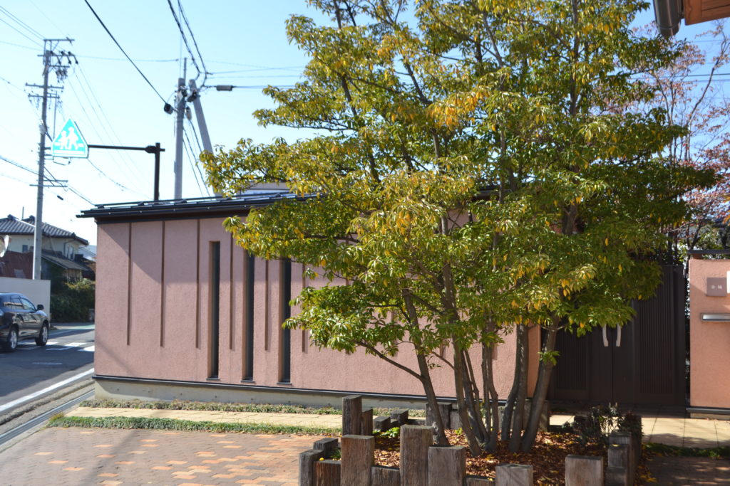 庭木 植木 としてのソヨゴの魅力 小森造園 長野県内を中心に造園 外構工事 庭づくりのお手伝い