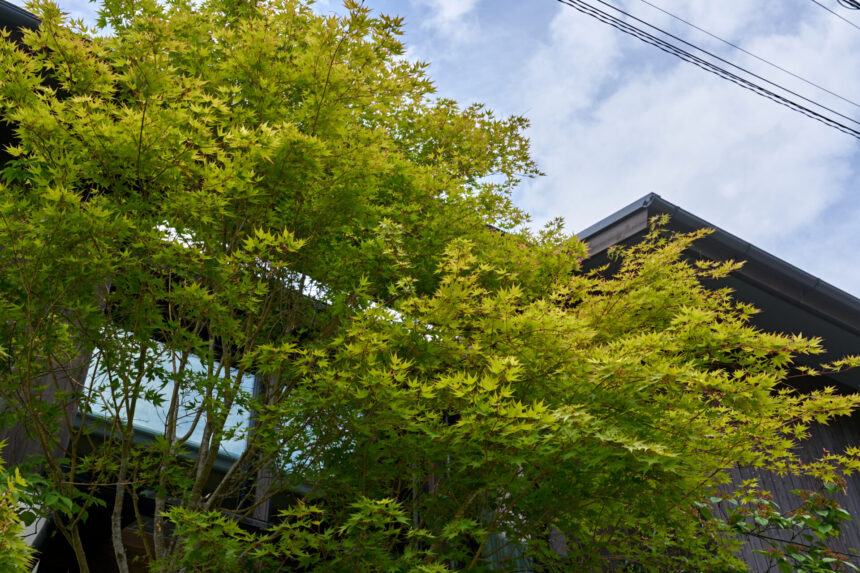長野市上松のお庭