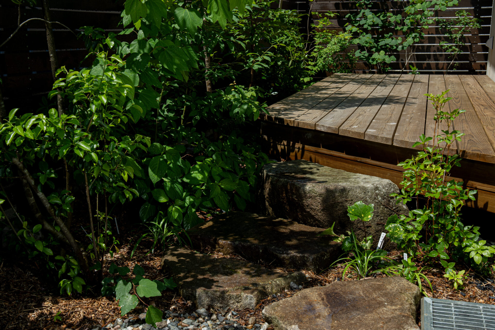 ウッドデッキへ続くアプローチは堂々とした庭石