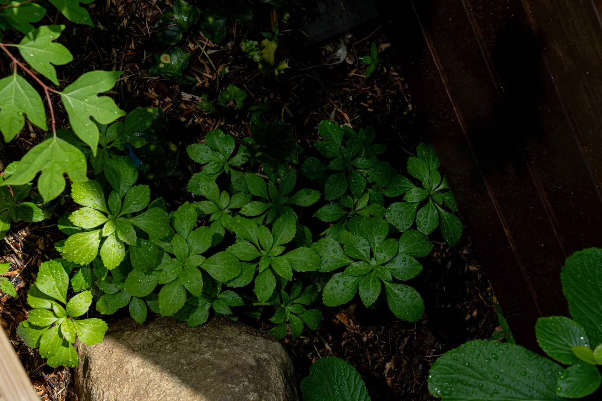 里山のような土中環境を再現