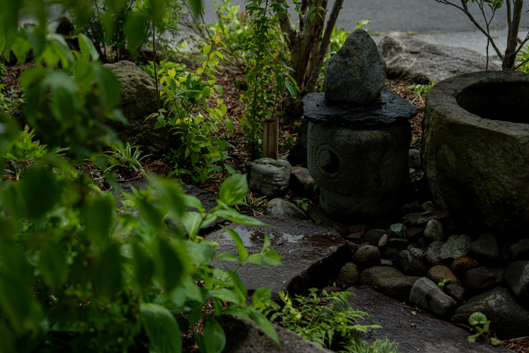 モダンで和風、かつ健康な雑木の庭です