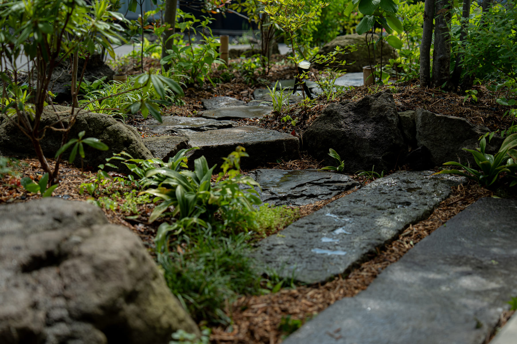 以前からある石を再利用して自然石を配置