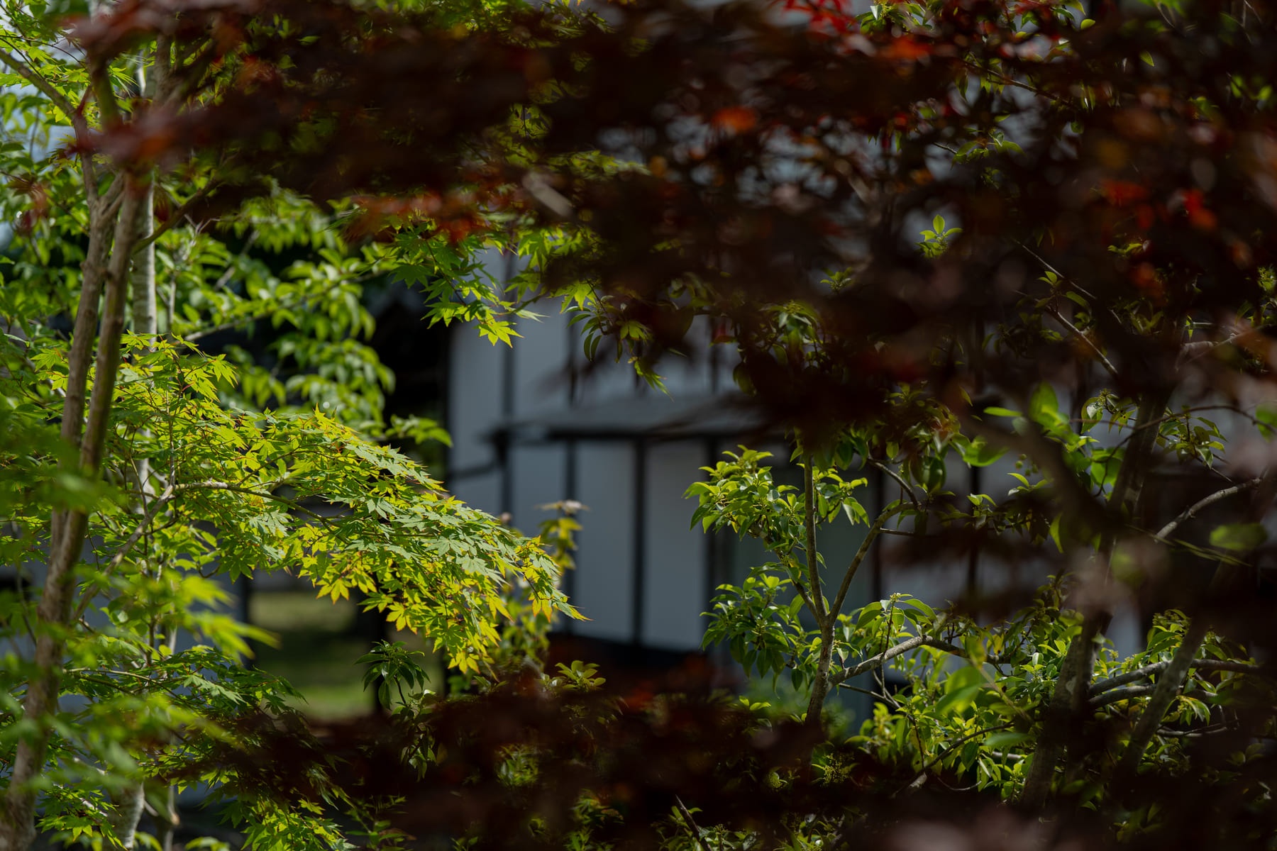 四季を感じる美しい庭