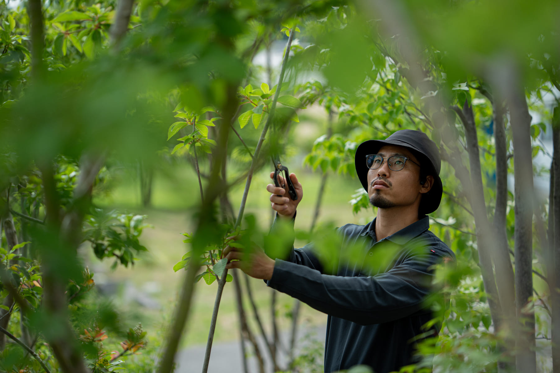 庭の健康と景観の良さを維持します