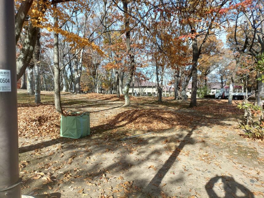 今年の落ち葉拾い　始めました